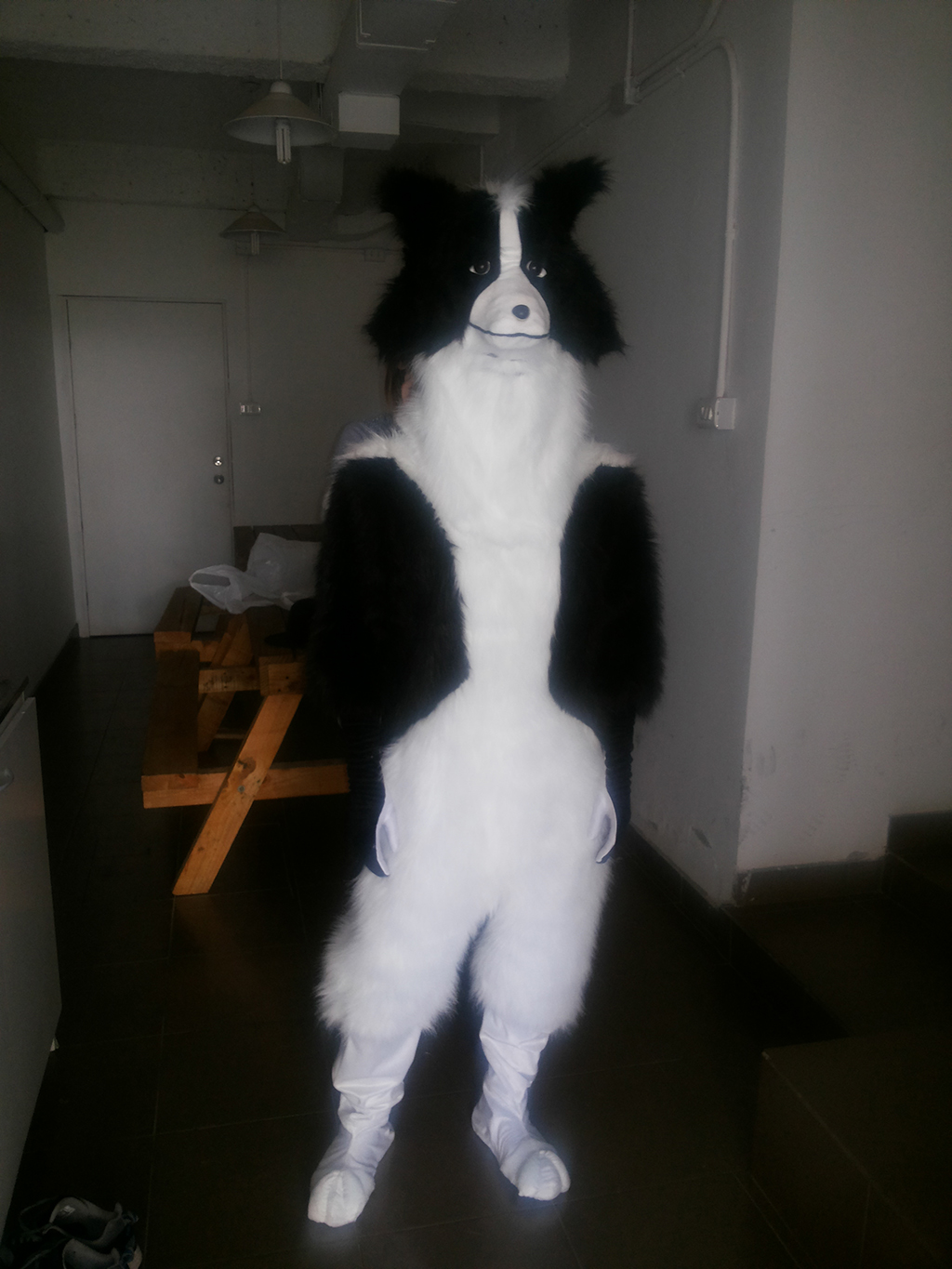 MUSICAL PETER PAN 2014 MALL PLAZA - Belen Larenas