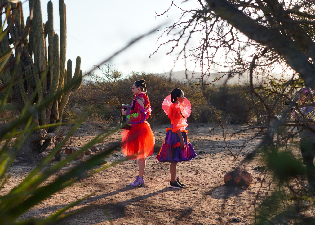 4.PORQUE SE FUE LA PALOMA - andre alvarez oliva