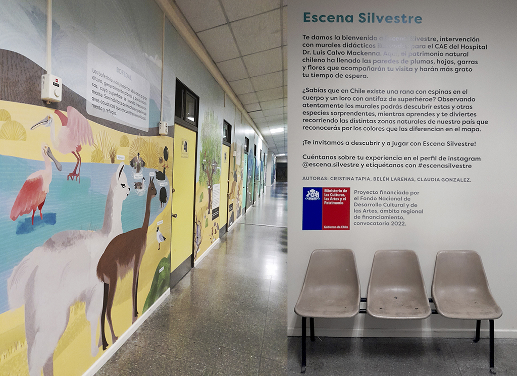 Escena SIlvestre- Intervención Hospital Luis calvo Mackenna-investigación y redacción - Belen Larenas