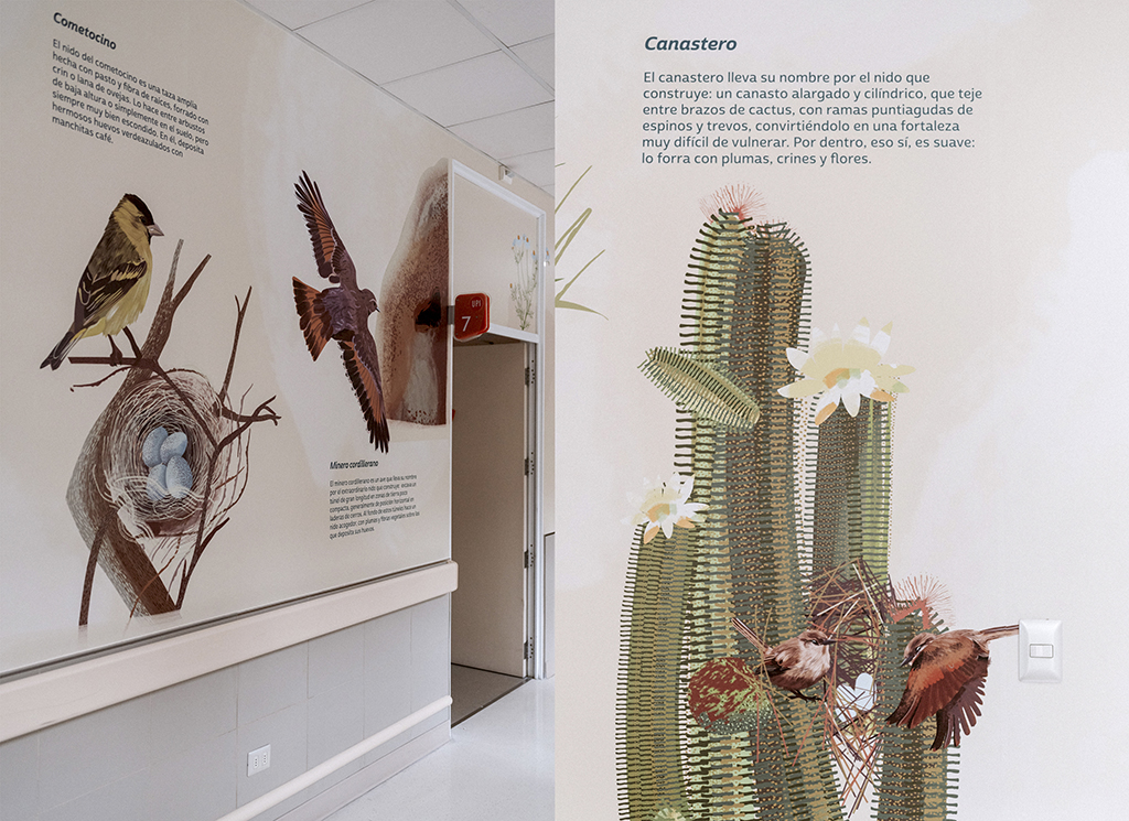 Escena Silvestre-Intervención Hospital Regional de Rancagua-investigación y redacción de contenidos - Belen Larenas